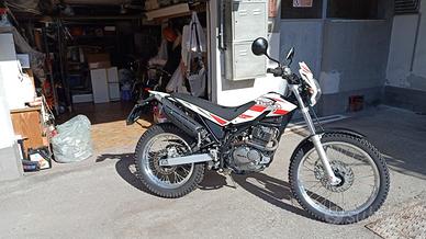 moto beta alp 200