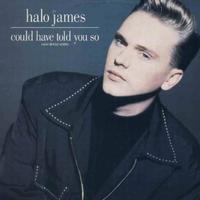 Halo James - Could Have Told You So 12''