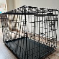 Kennel animali