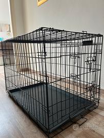 Kennel animali
