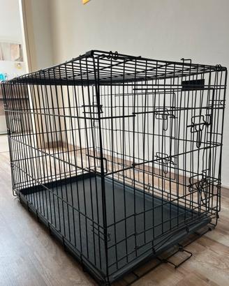 Kennel animali