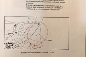 Terreni agricoli a Castion Belluno