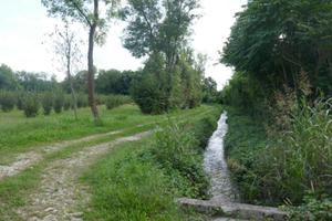 TERRENI AGRICOLI PER OLTRE 8.000 MQ: investimen...