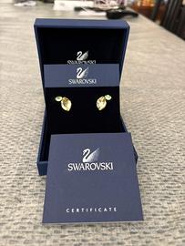 Orecchini Swarovski