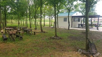 Chiosco per feste Ravenna