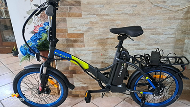 bici a pedalata assistita