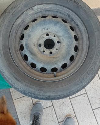 cerchi per panda 2017