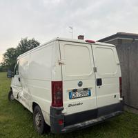 Ducato