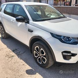 Discovery sport motore Ford 2.2