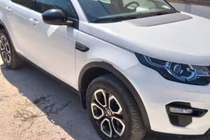 Discovery sport motore Ford 2.2