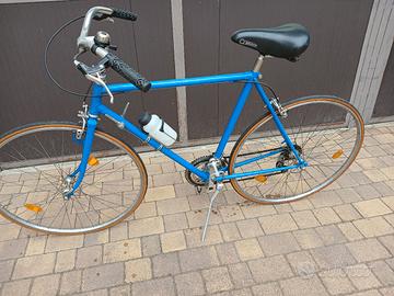 bicicletta da uomo