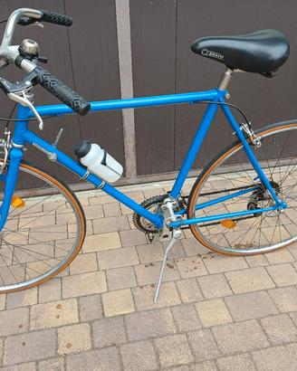 bicicletta da uomo
