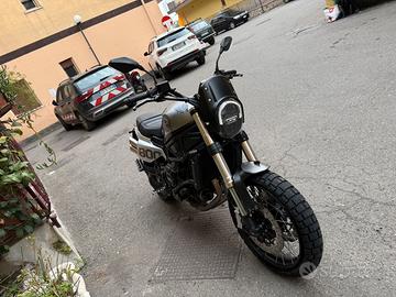 Benelli leoncino 800