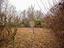 Immagine 26
