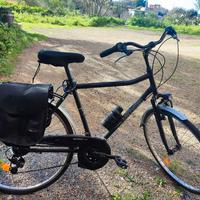 bici da passeggio 