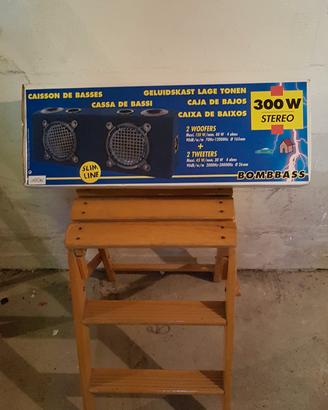 Altoparlanti Woofer Casse portatile