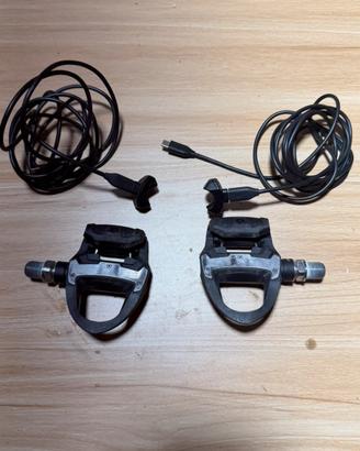 Garmin - Rally RS210