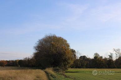 TERRENO AGRICOLO BOSCHIVO A BONATE SOTTO