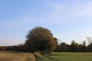 TERRENO AGRICOLO BOSCHIVO A BONATE SOTTO