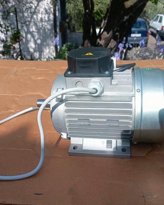 Motore elettrico monofase