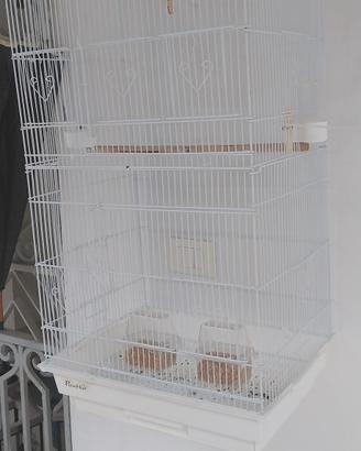 gabbia canarini pappagallini