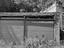 Immagine 17