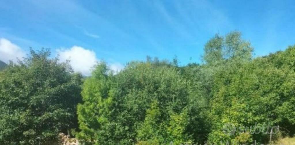 Immobile in asta di 776345 m² a Frassinoro - Vista 4