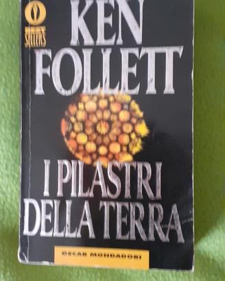 Libro  " I pilastri della terra "