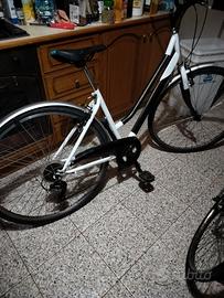 bicicletta ruote 28