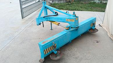 Livella lama-spiana Olivero