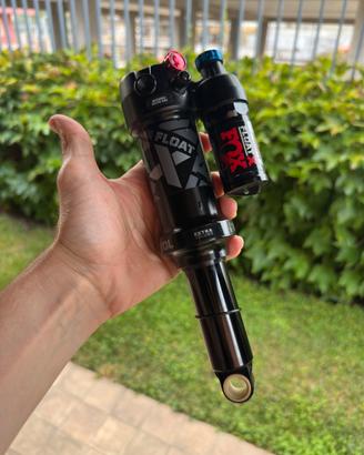 Fox suspension