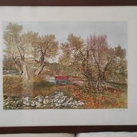 Quadro Litografia firmata numerata Marisa Benetti