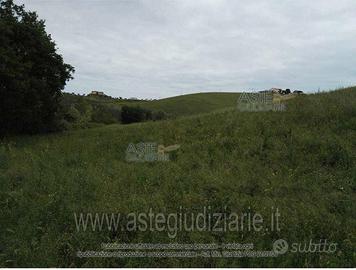Terreno Agricolo Morro d'Oro [A4352814]