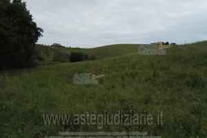 Terreno Agricolo Morro d'Oro [A4352814]