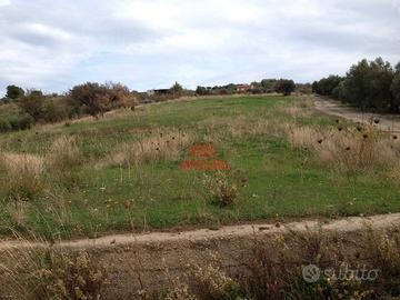 Misilmeri-terreno agricolo-cod.979