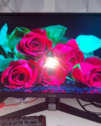 Monitor 2k 260hz - ASUS VG27AQM1A (leggere desc.)