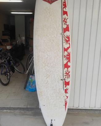 Tavola Surf Bic Mini Malibu 7'3" + Pinne e Leash