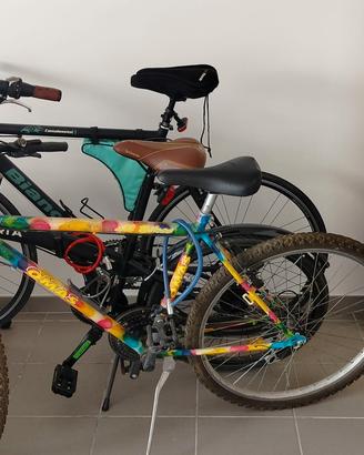 Bici Mountain bike 