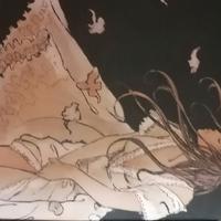 Collezione completa di Manara