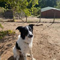 Paride ancora spera di tornare a casa