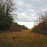 Terreno agricolo/campo