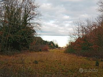 Terreno agricolo/campo