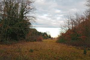 Terreno agricolo/campo