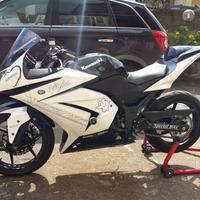 Kawasaki Ninja 250R - 2010