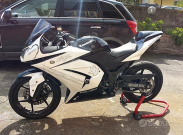 Kawasaki Ninja 250R - 2010