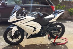 Kawasaki Ninja 250R - 2010