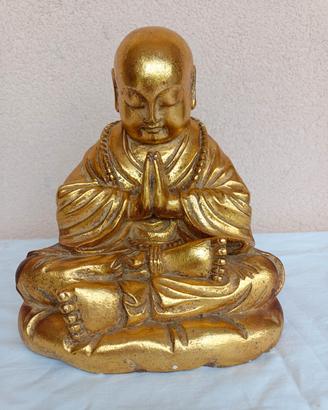 GIOVANE BUDDHA