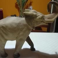 Elefante in resina