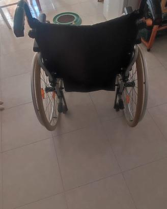 sedia a rotelle 
