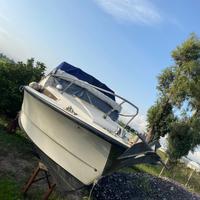 Barca a Motore 7 metri